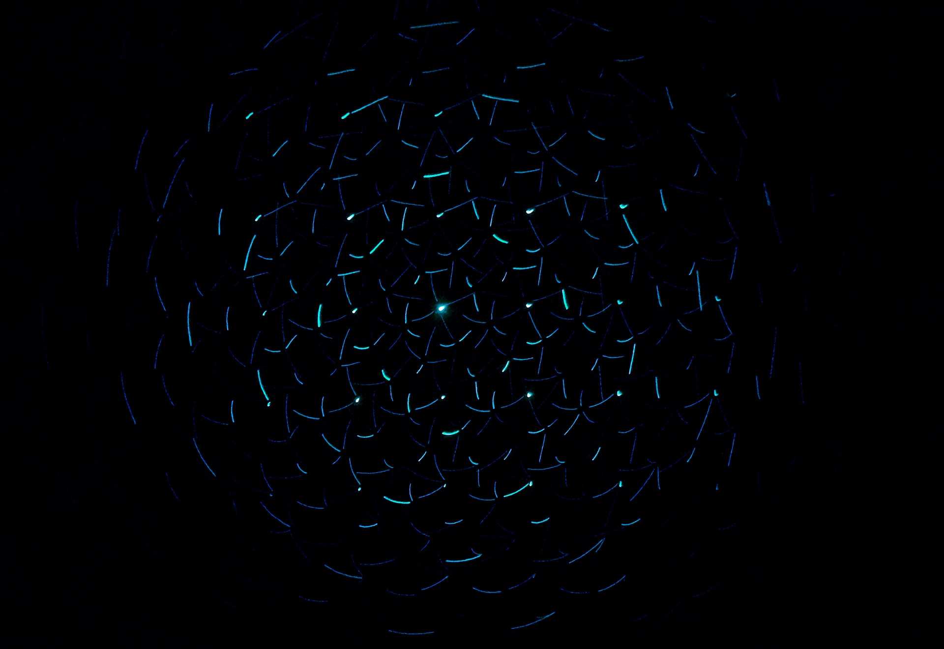 Latest blog post image